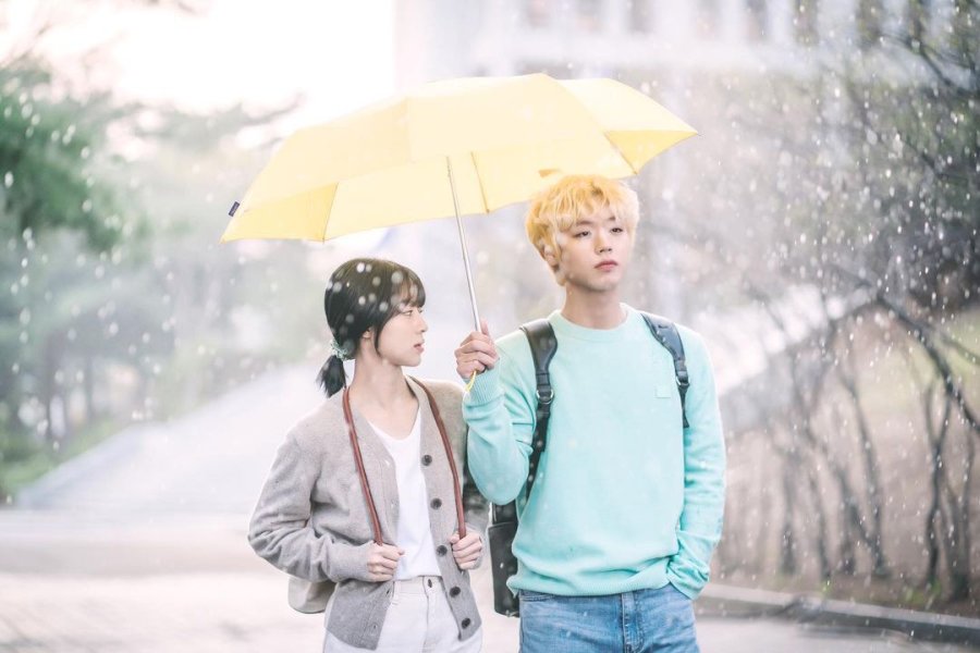 دانلود سریال At a Distance, Spring is Green - دانلود سریال در دوردست، بهار سبز است 1 دانلود سریال At a Distance, Spring is Green