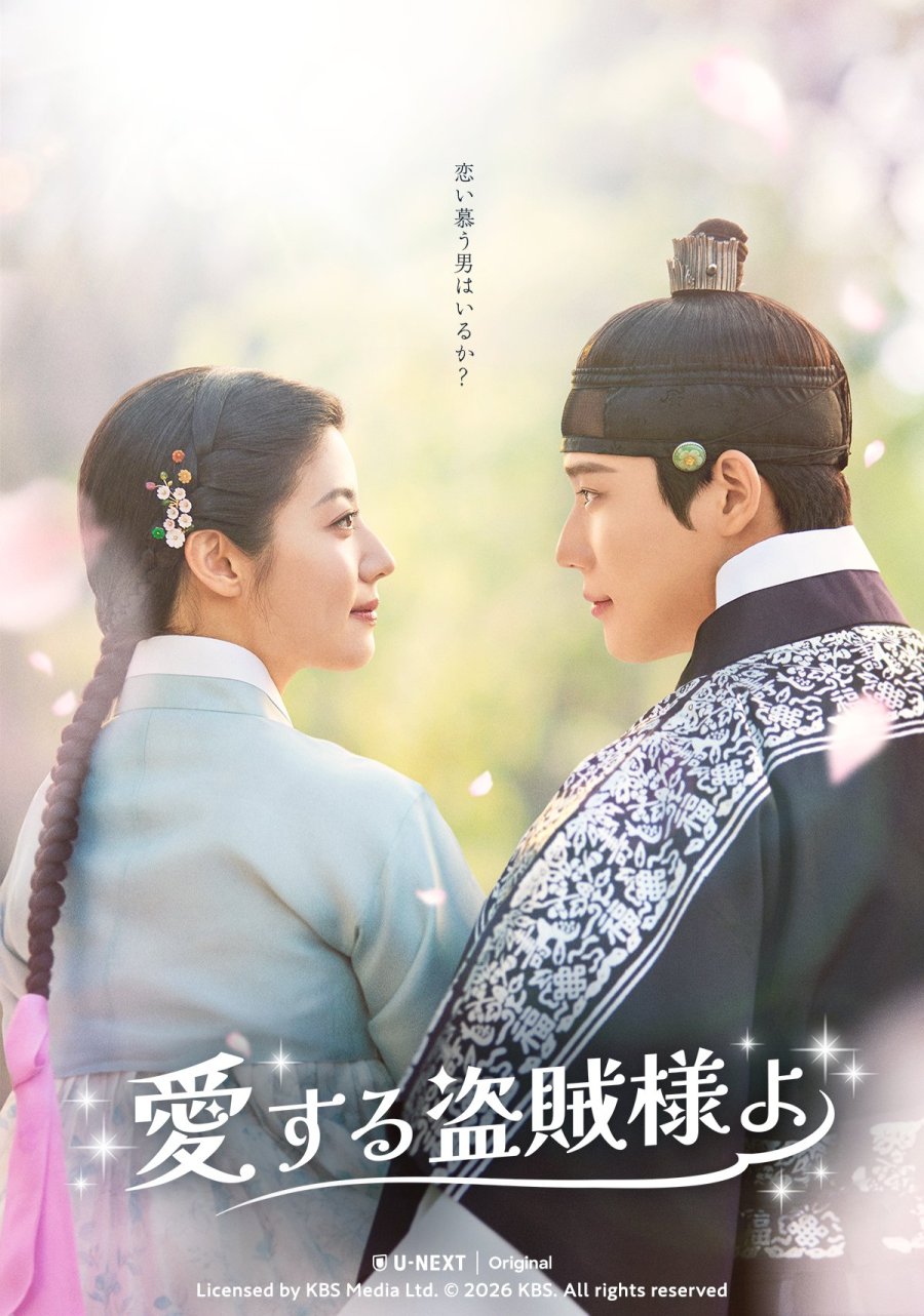دانلود سریال کره ای برای دزد عزیزم | سریال To My Beloved Thief 2026